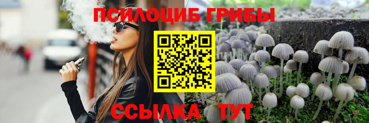как найти   Галлюциногенные грибы Cubensis  Псилоцибиновые грибы мухоморы  Вход с VPN  Среднеуральск 